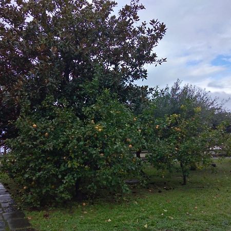 Villa Pellicano -Il Nido Castellammare di Stabia Kültér fotó