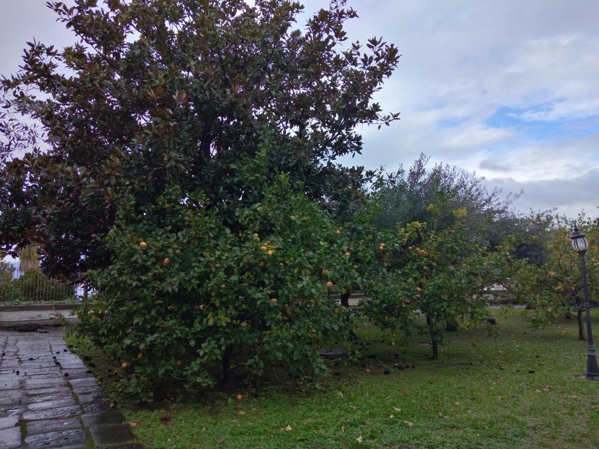 Villa Pellicano -Il Nido Castellammare di Stabia Kültér fotó
